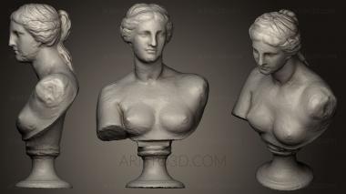 Busts and heads antique and historical (BUSTA_0513) 3D model for CNC machine